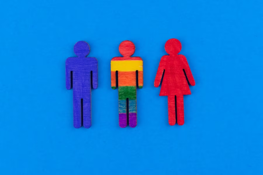 Wooden people shapes in blue, rainbow, and pink.